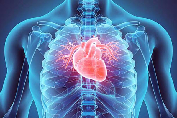 Best Cardiology Hospital in Bhilai