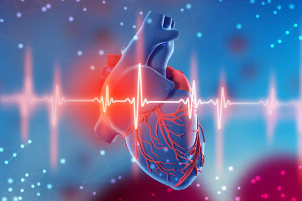 Best Cardiology Hospital in Bhilai